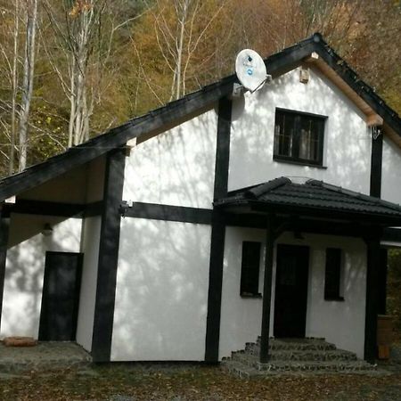 Cabana Crenguta Hermannstadt Exterior foto