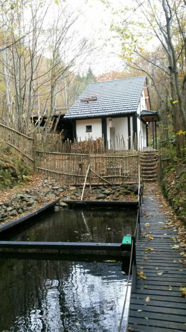 Cabana Crenguta Hermannstadt Exterior foto